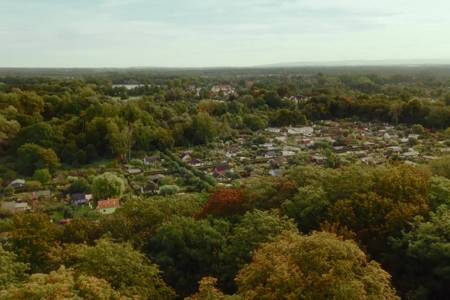 Jägermeister — Santa Cruz preview