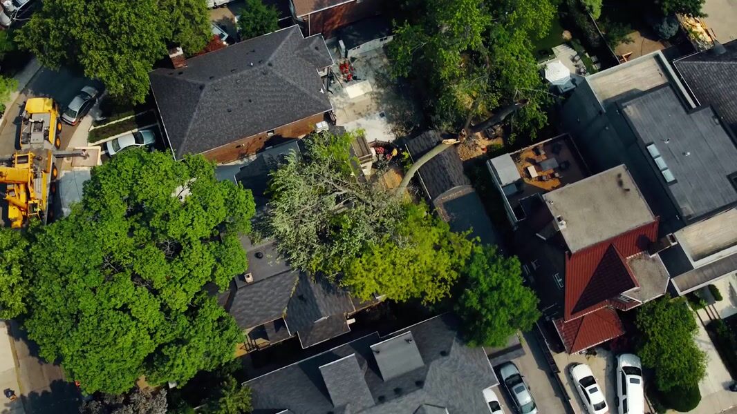 Above & Beyond Landscaping — Video & Photo Content preview